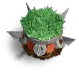 Level